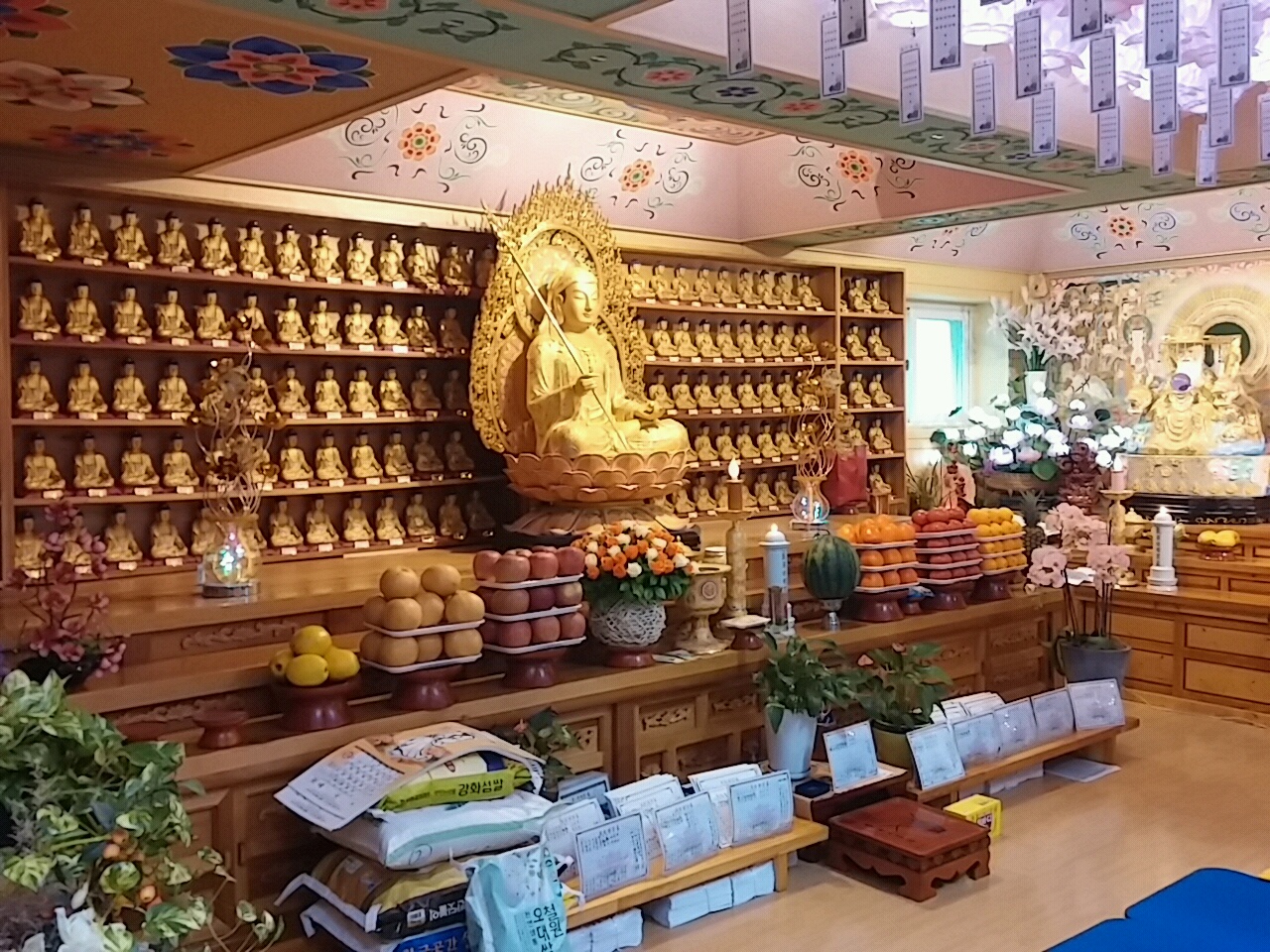 3695750758_KQJODcqR_0a6468fbf184cc22f79090c077d312c699b50e60.jpg 이미지크게보기