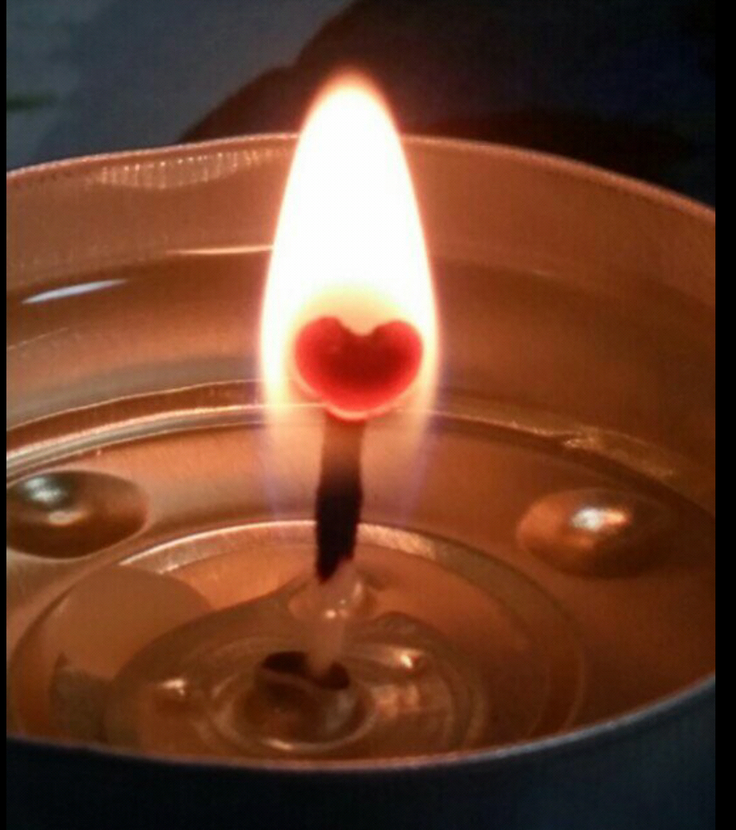 3695750758_MYg891RD_30b38537e58402f00393d8228b6ab07de77318b5.jpg 이미지크게보기